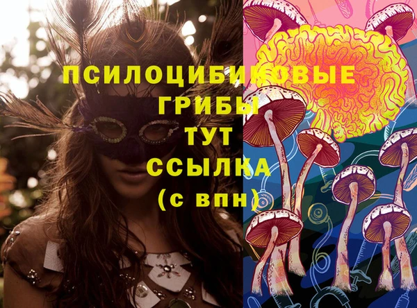 2c-b Балабаново