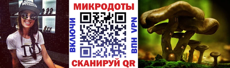 Купить закладки  Новый Оскол  Галлюциногенные грибы мицелий 